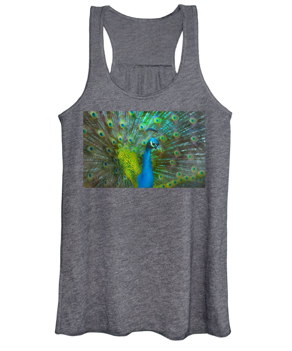 Peacock Women's Tank Top featuring the photograph Peacock Face Mask by Patricia Dennis