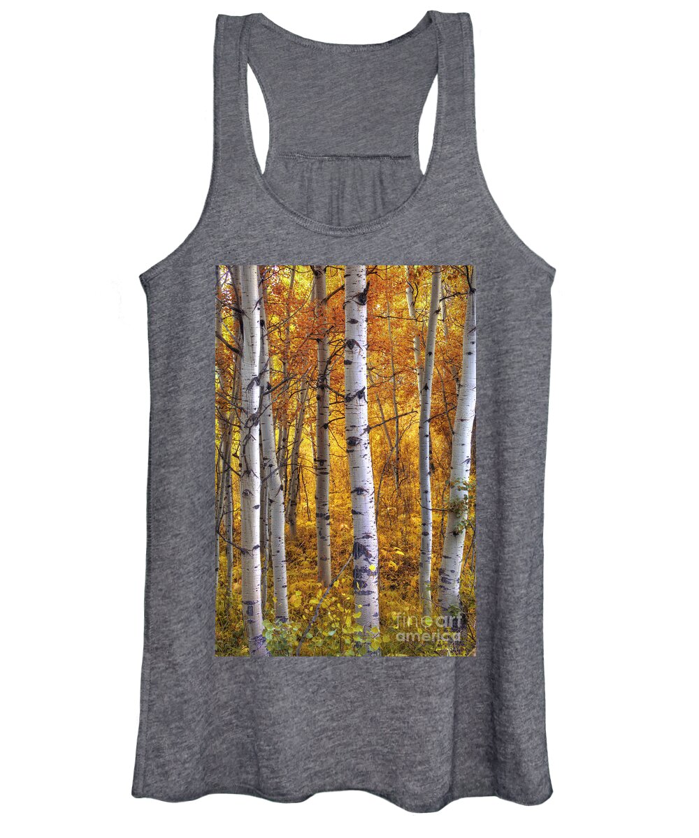 Aspen Trees Women's Tank Top featuring the photograph Amber Aspens by Marco Crupi
