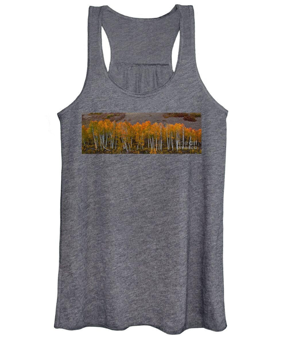Nature Women's Tank Top featuring the photograph Aspen Band by Steven Reed