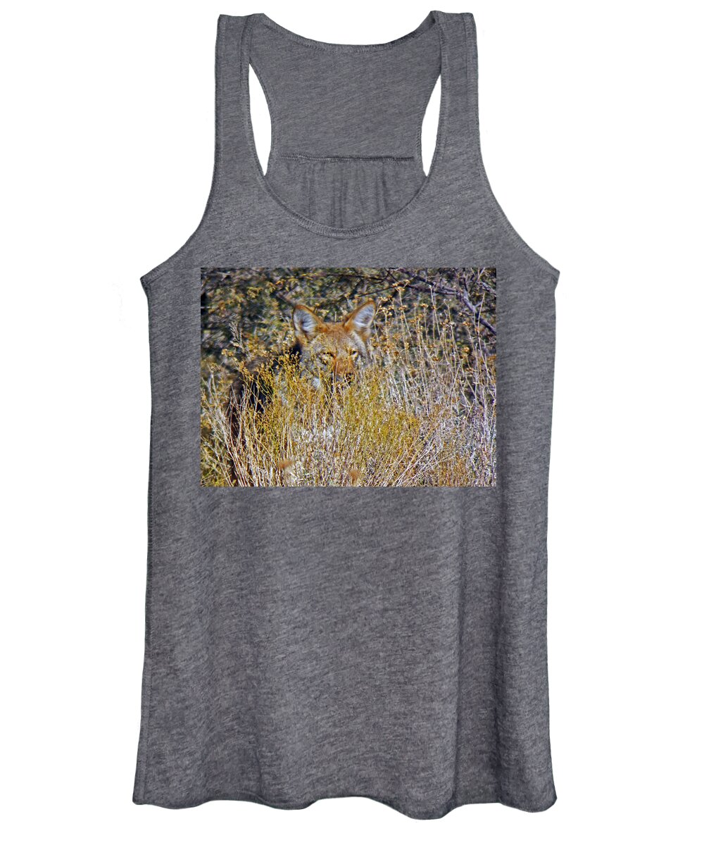 Coyote Women's Tank Top featuring the photograph Behind The Looking Grass by Jennifer Robin