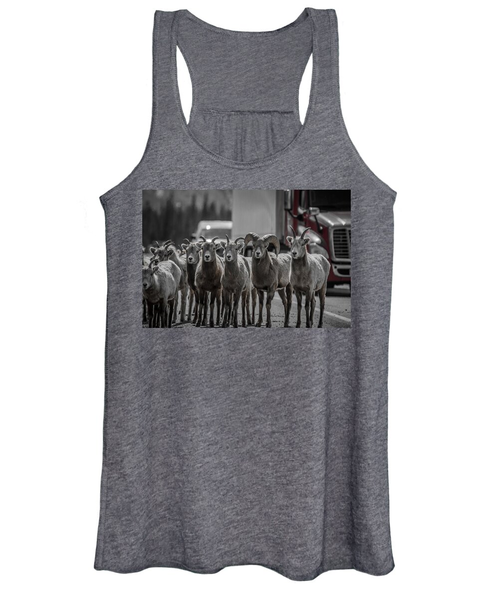 Big Horn Sheep Women's Tank Top featuring the photograph Big Horn Sheep Road Block by Roxy Hurtubise