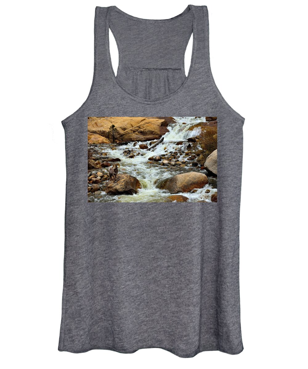 Bighorn Women's Tank Top featuring the photograph Bighorn at Alluvial Fan Falls by Tranquil Light Photography