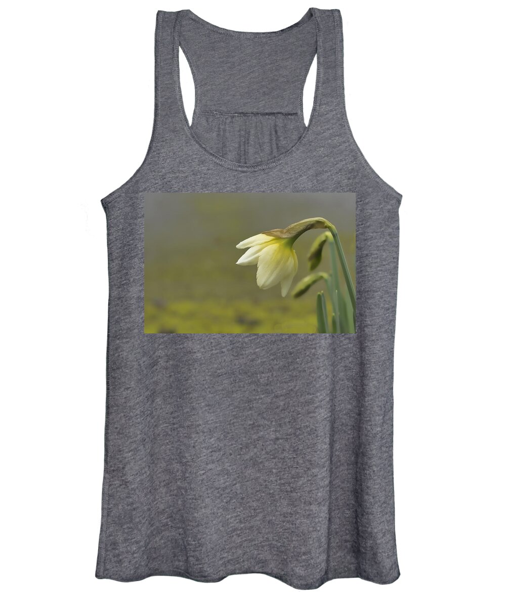 Daffodil Wall Art Women's Tank Top featuring the photograph Blooming Daffodils by Ron Roberts