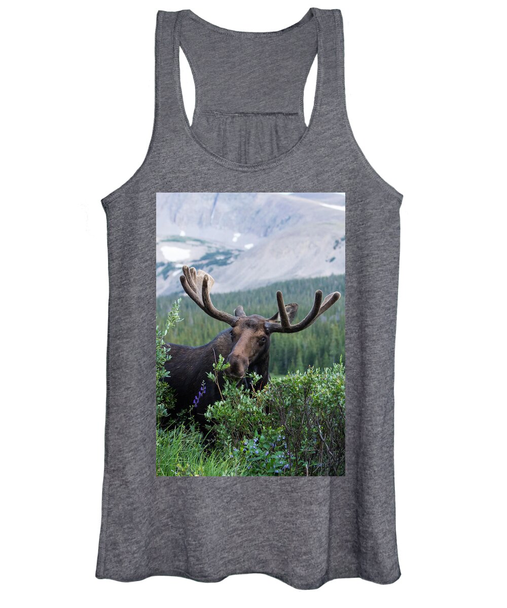 Moose Women's Tank Top featuring the photograph Bull Moose Grazes in the Shadows of Mountains by Tony Hake