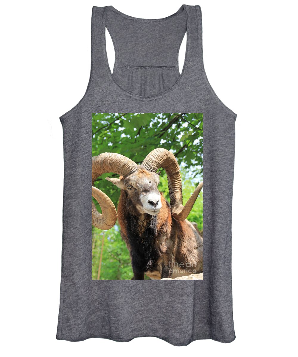  Alpine Women's Tank Top featuring the photograph Capricorne by Amanda Mohler