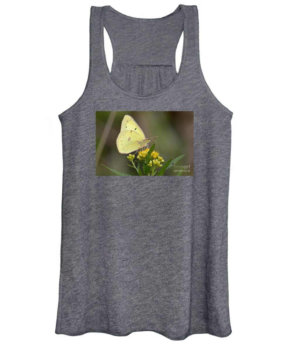 Wildlife Women's Tank Top featuring the photograph Clouded Sulphur by Randy Bodkins