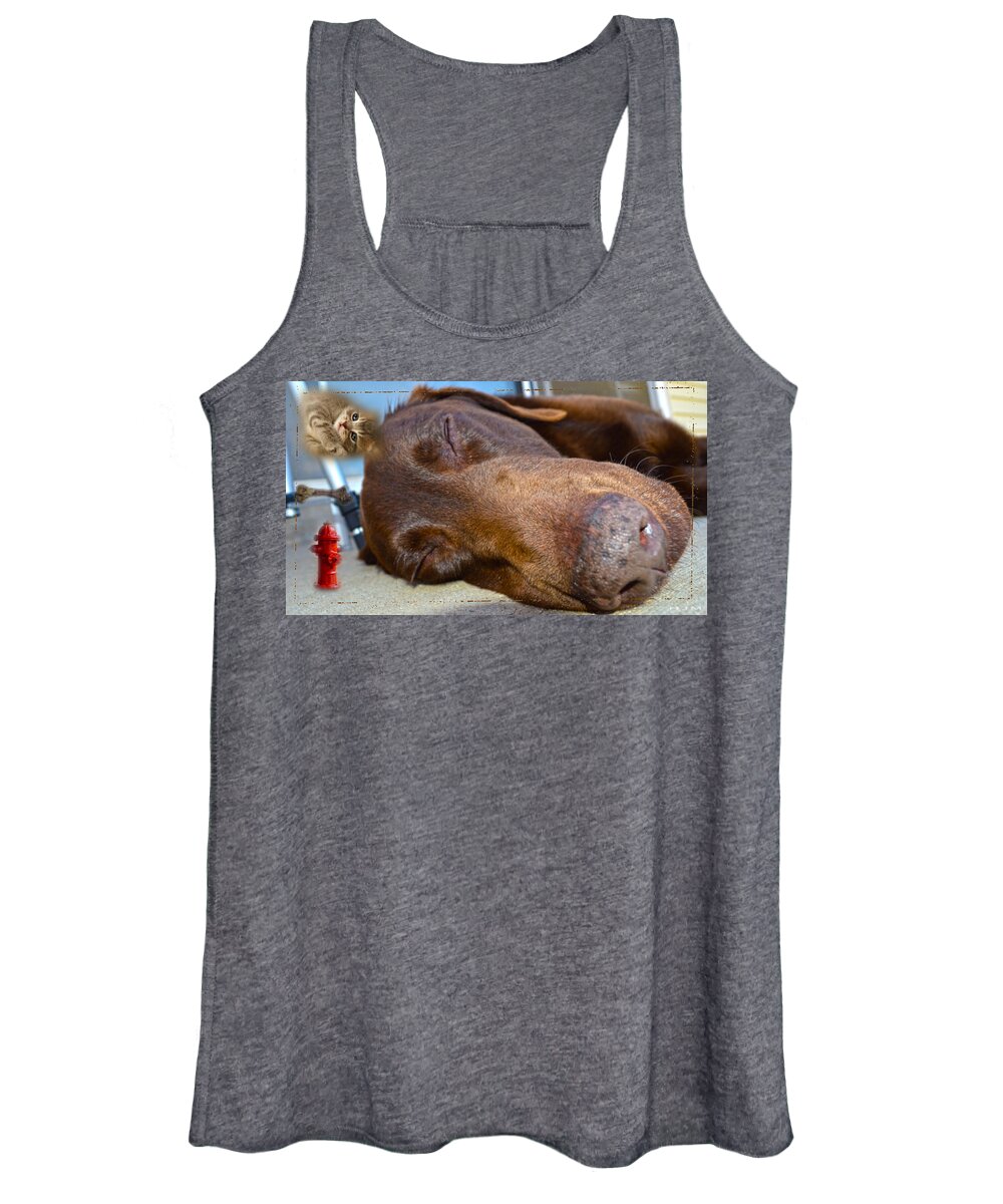  Animals Paintings Photographs Photographs Women's Tank Top featuring the photograph Day Dreaming by Mayhem Mediums