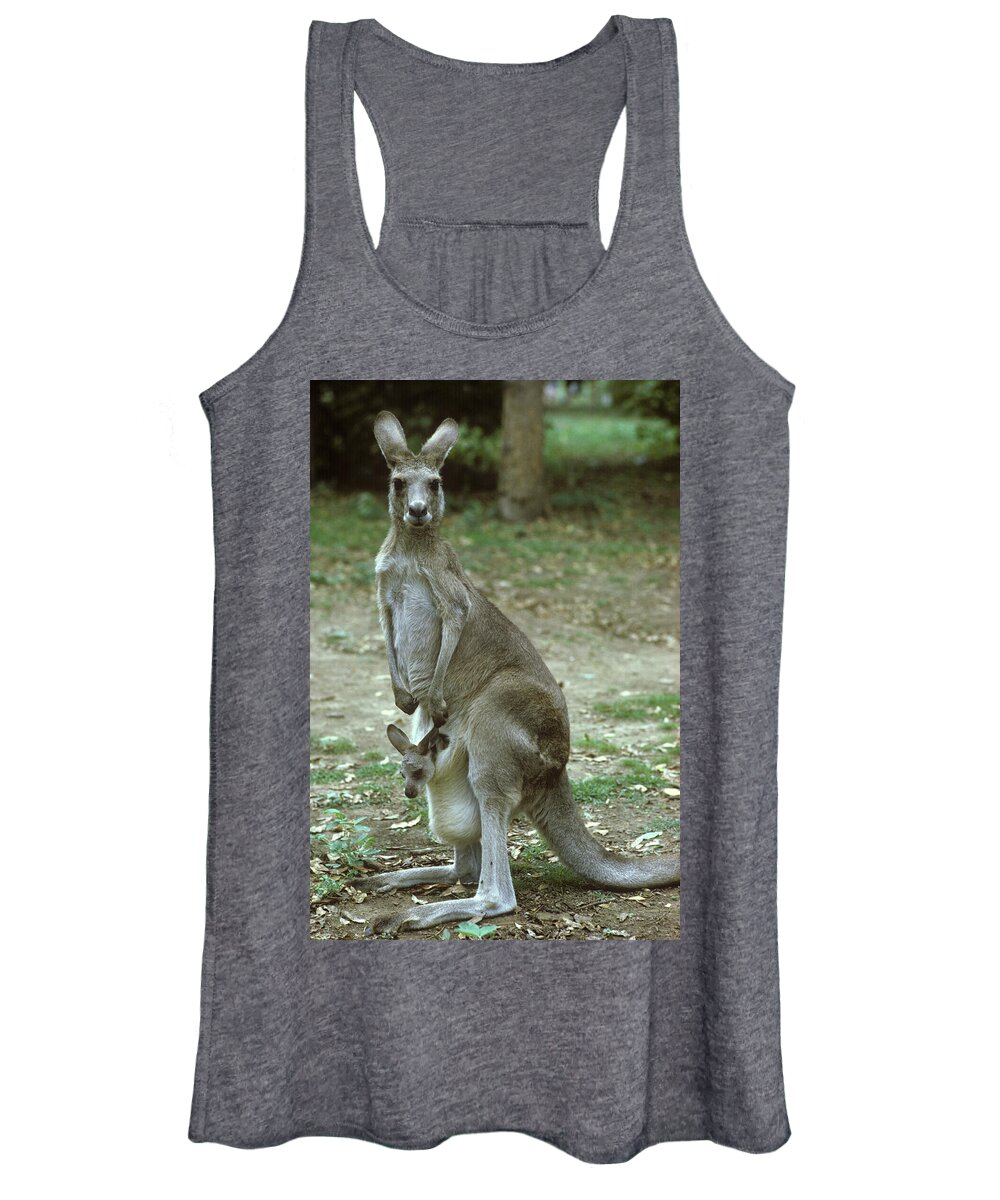 Eastern Grey Kangaroo Mother And Joey Women\'s Tank Top by George Holton -  Pixels