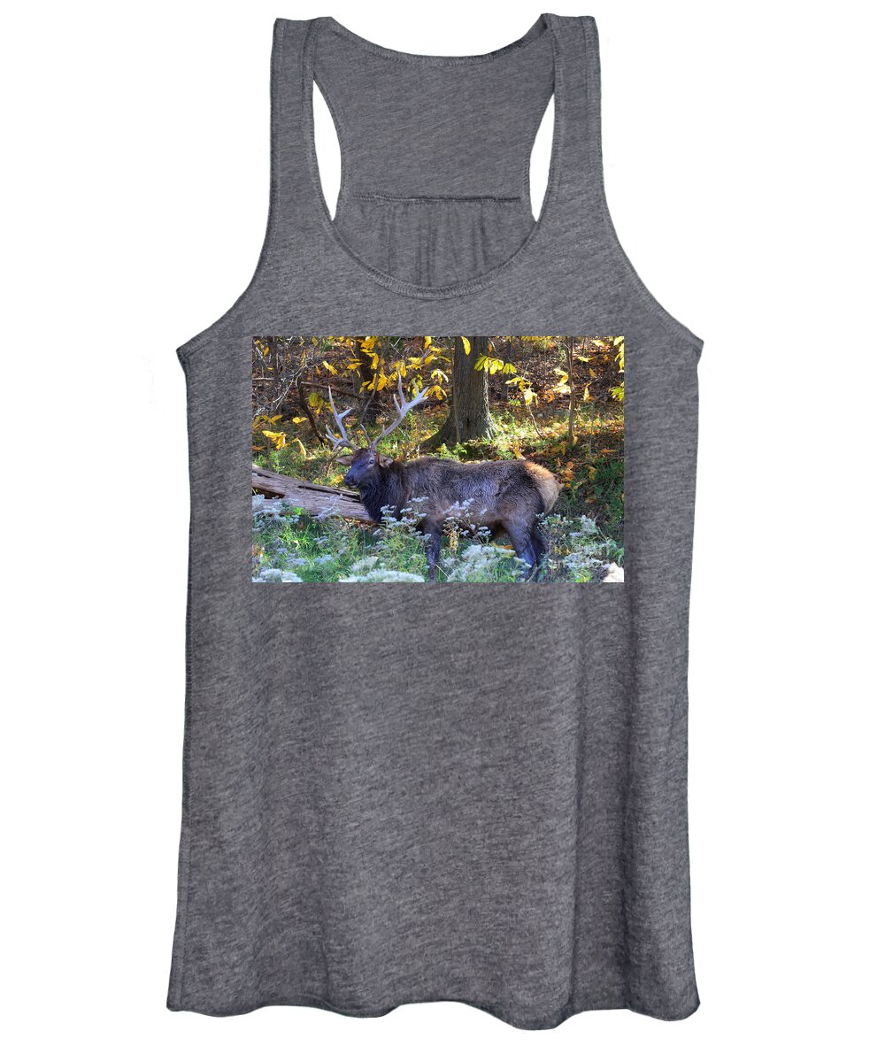 Landscape Women's Tank Top featuring the photograph Elk in Autumn Meadow by Peggy Franz