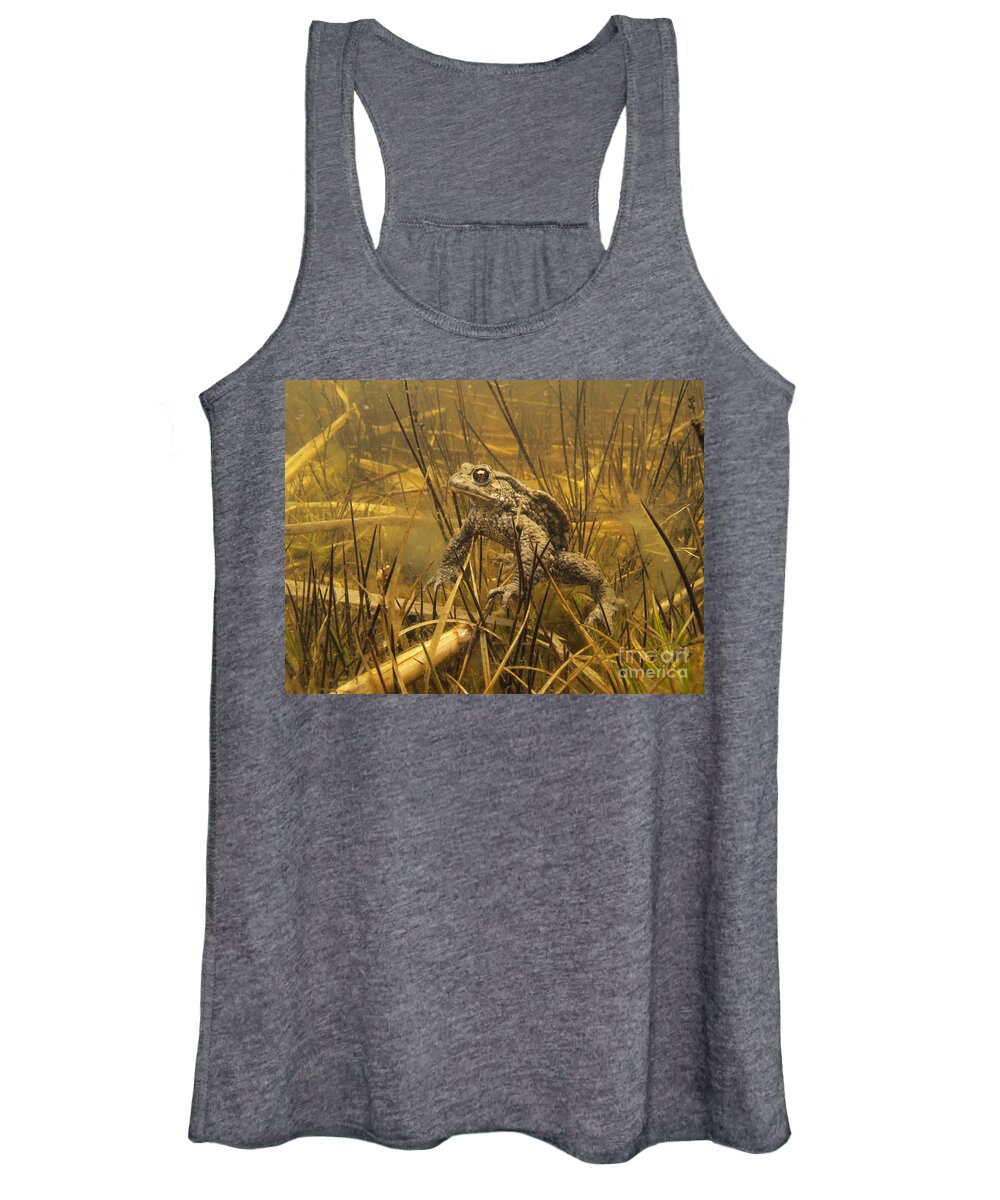 Nis Women's Tank Top featuring the photograph European Toad Noord-holland Netherlands by Jan Smit