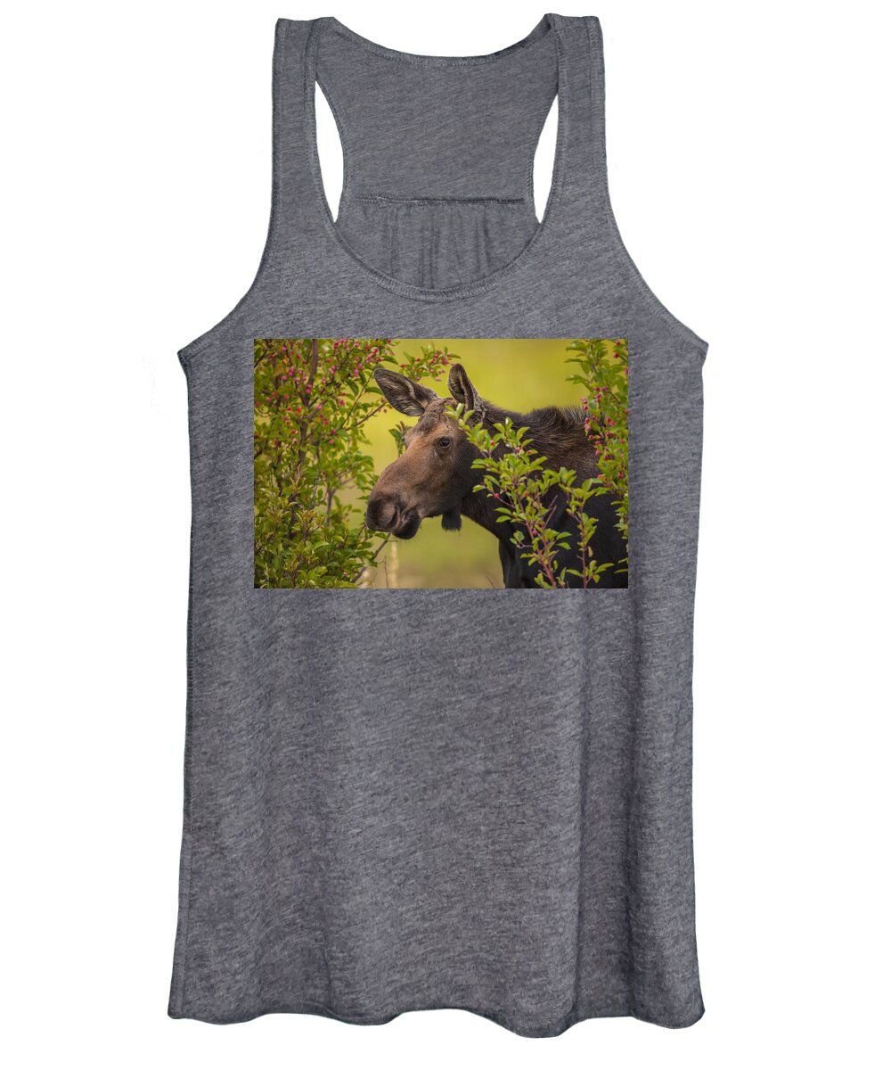 Moose Women's Tank Top featuring the photograph Fall Moose by Kevin Dietrich