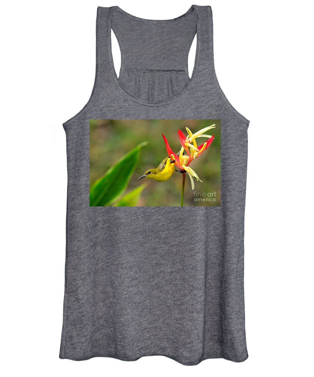 Yellow Women's Tank Top featuring the photograph Female Olive Backed Sunbird clings to Heliconia plant flower Singapore by Imran Ahmed