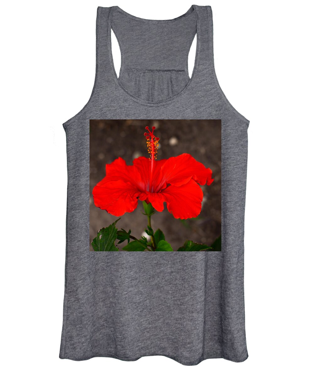 Glowing Women's Tank Top featuring the photograph Glowing Red Hibiscus by Debra Martz
