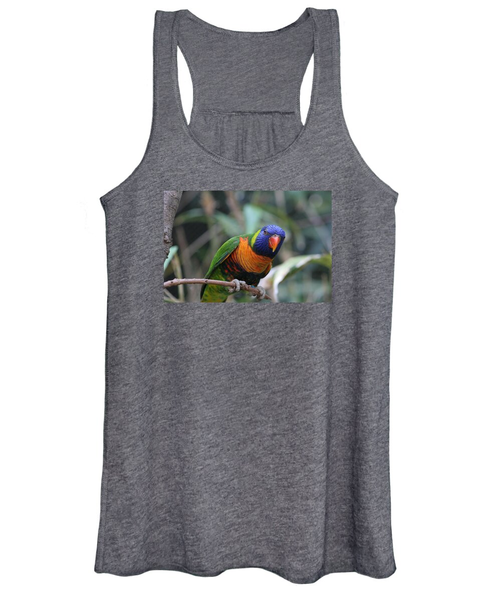 Lorie Women's Tank Top featuring the photograph Curious Lorikeet by Valerie Collins