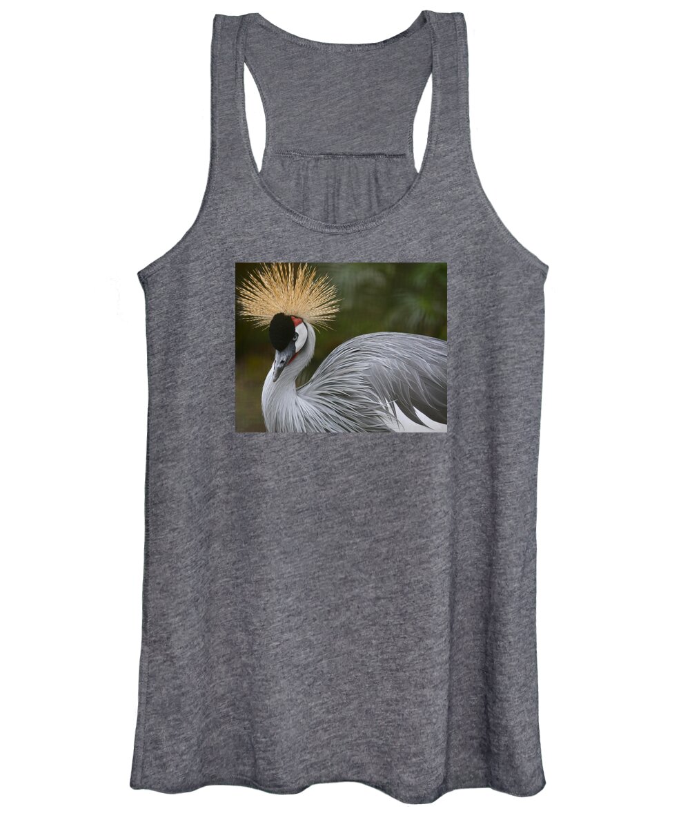 Bird Women's Tank Top featuring the photograph Grey Crowned Crane by Venetia Featherstone-Witty