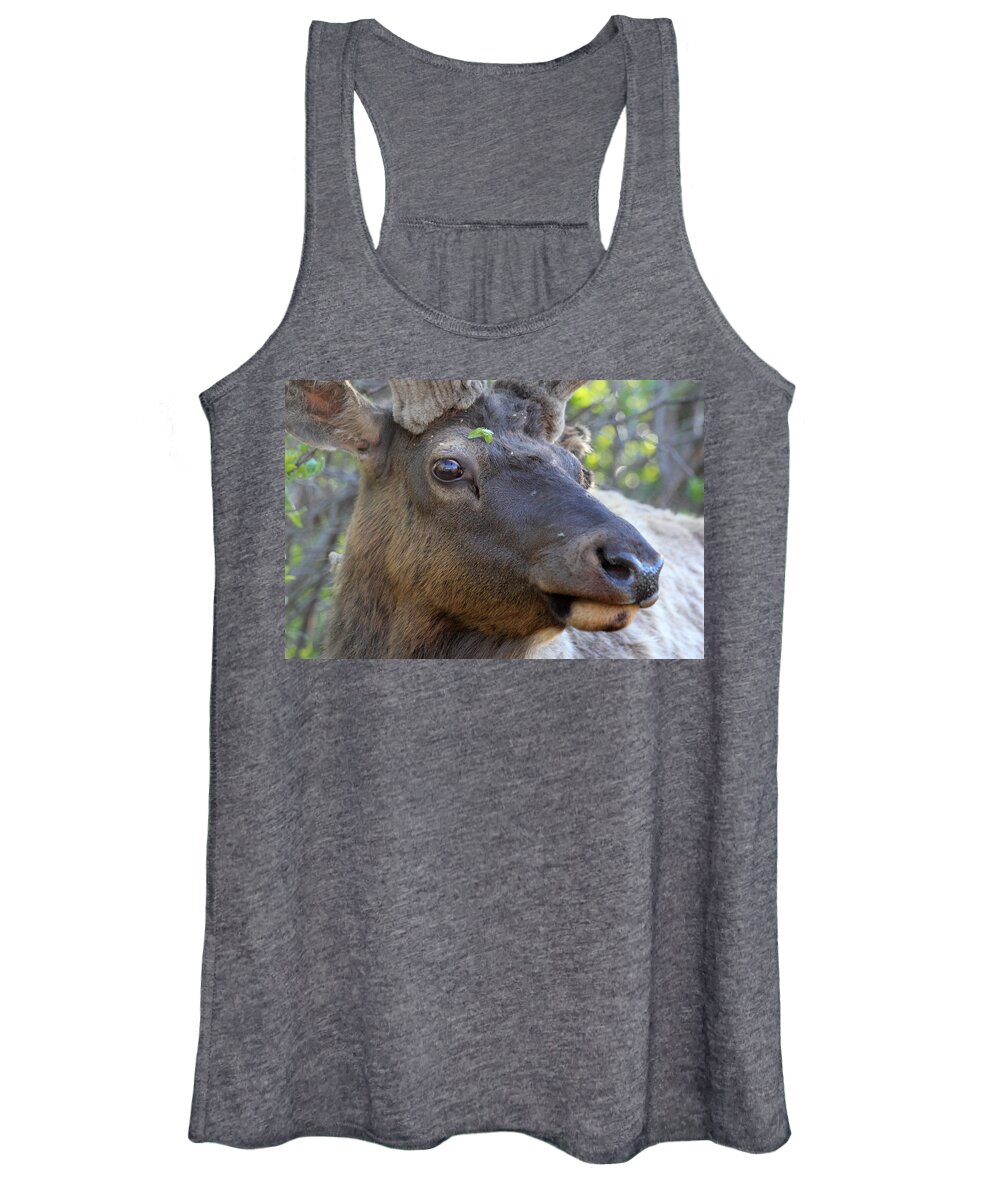 Elk Women's Tank Top featuring the photograph I Have What On My Face? by Shane Bechler