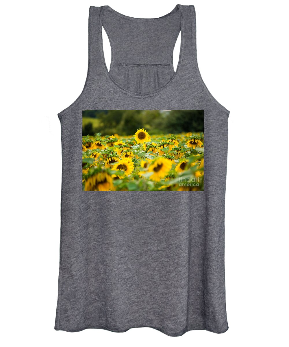 Sunflower Sunset Women's Tank Top featuring the photograph Keep Your Head Up by Michael Ver Sprill