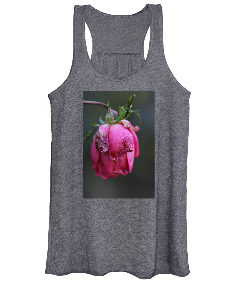 Rose Women's Tank Top featuring the photograph Last Rose of Summer by Valerie Collins