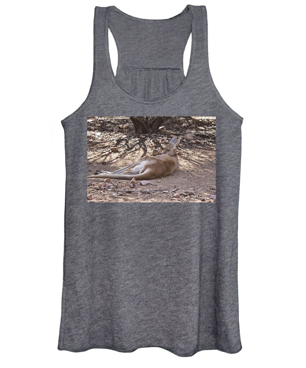 Red Kangaroo Women's Tank Top featuring the photograph Lazing About by Douglas Barnard