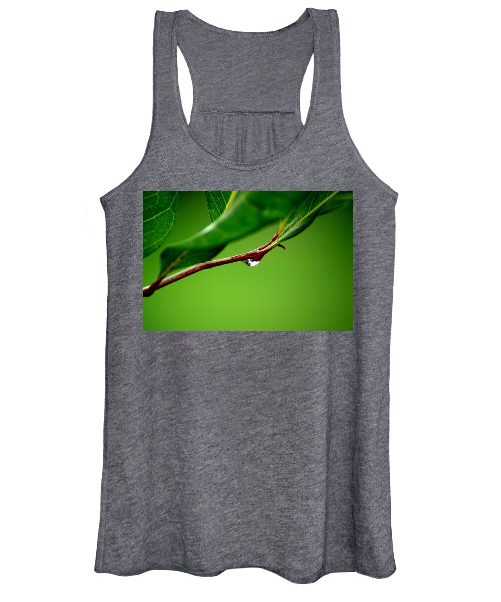 Water Women's Tank Top featuring the photograph Leafdrop by David Weeks