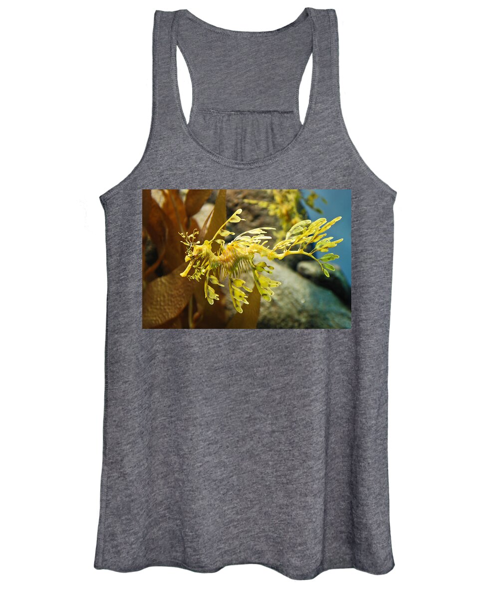 Leafy Women's Tank Top featuring the photograph Leafy Sea Dragon by Shane Kelly