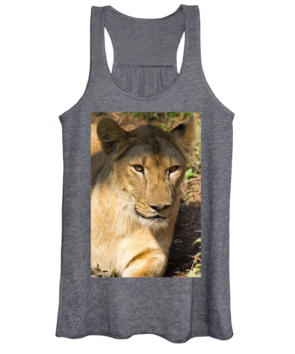 Shimoga Women's Tank Top featuring the photograph Lioness - up close by SAURAVphoto Online Store