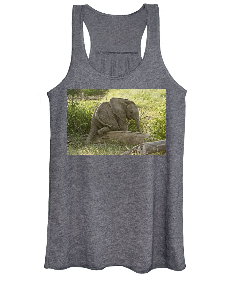 Africa Women's Tank Top featuring the photograph Little Elephant Big Log by Michele Burgess