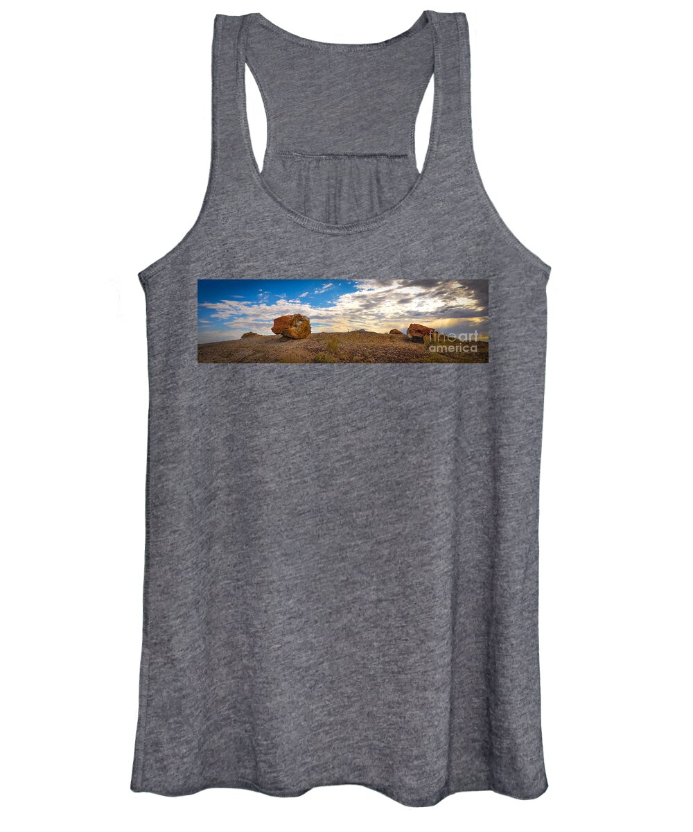 Petrified Forest Women's Tank Top featuring the photograph Lonesome One by Cheryl McClure