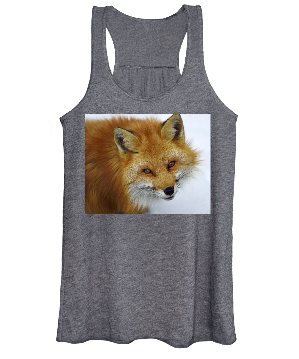 Red Fox Women's Tank Top featuring the photograph Looking Up by Tony Beck
