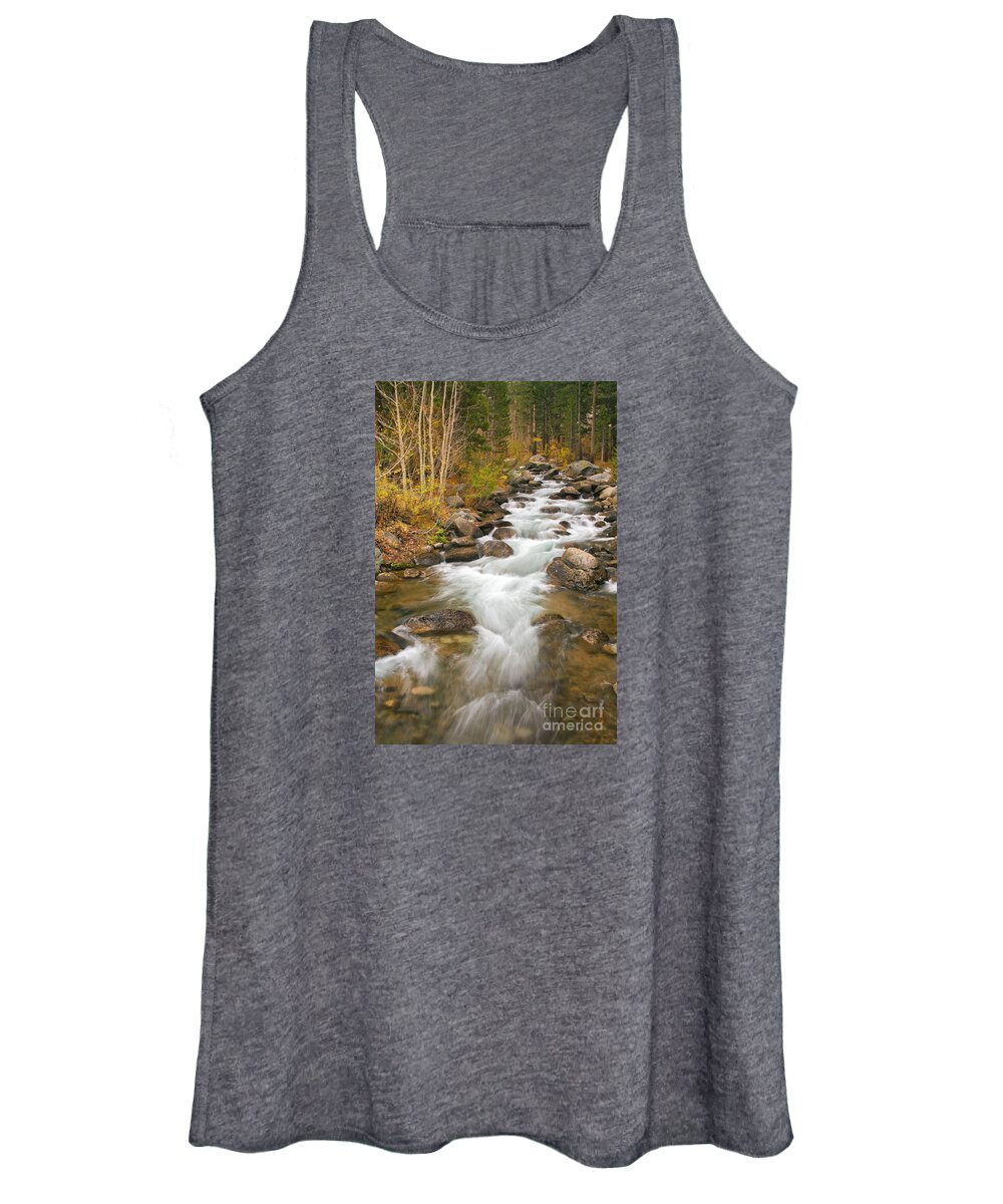 Stream Women's Tank Top featuring the photograph Looking Upstream by Alice Cahill