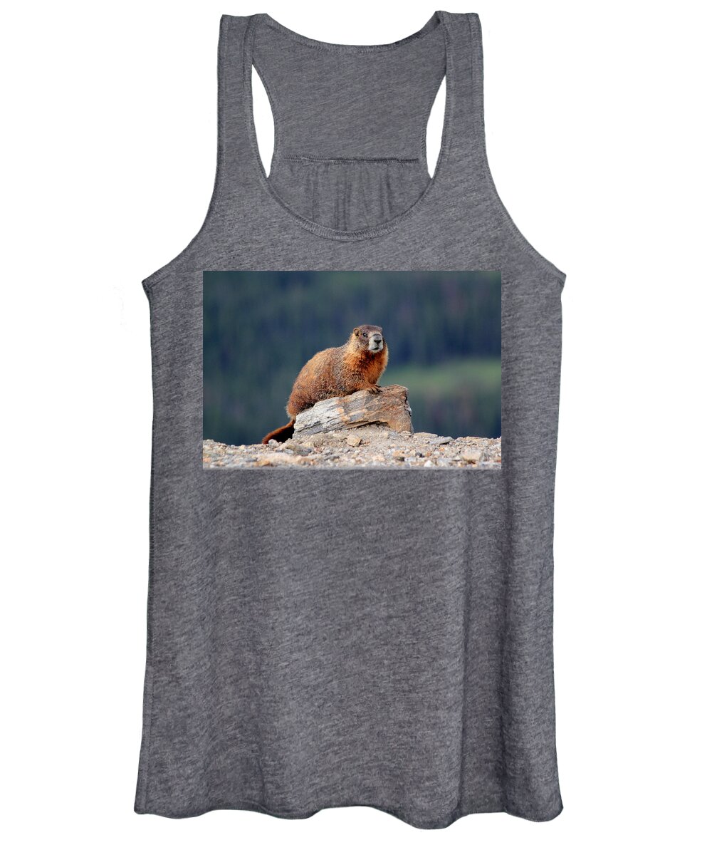 Marmot Women's Tank Top featuring the photograph Marmot by Shane Bechler