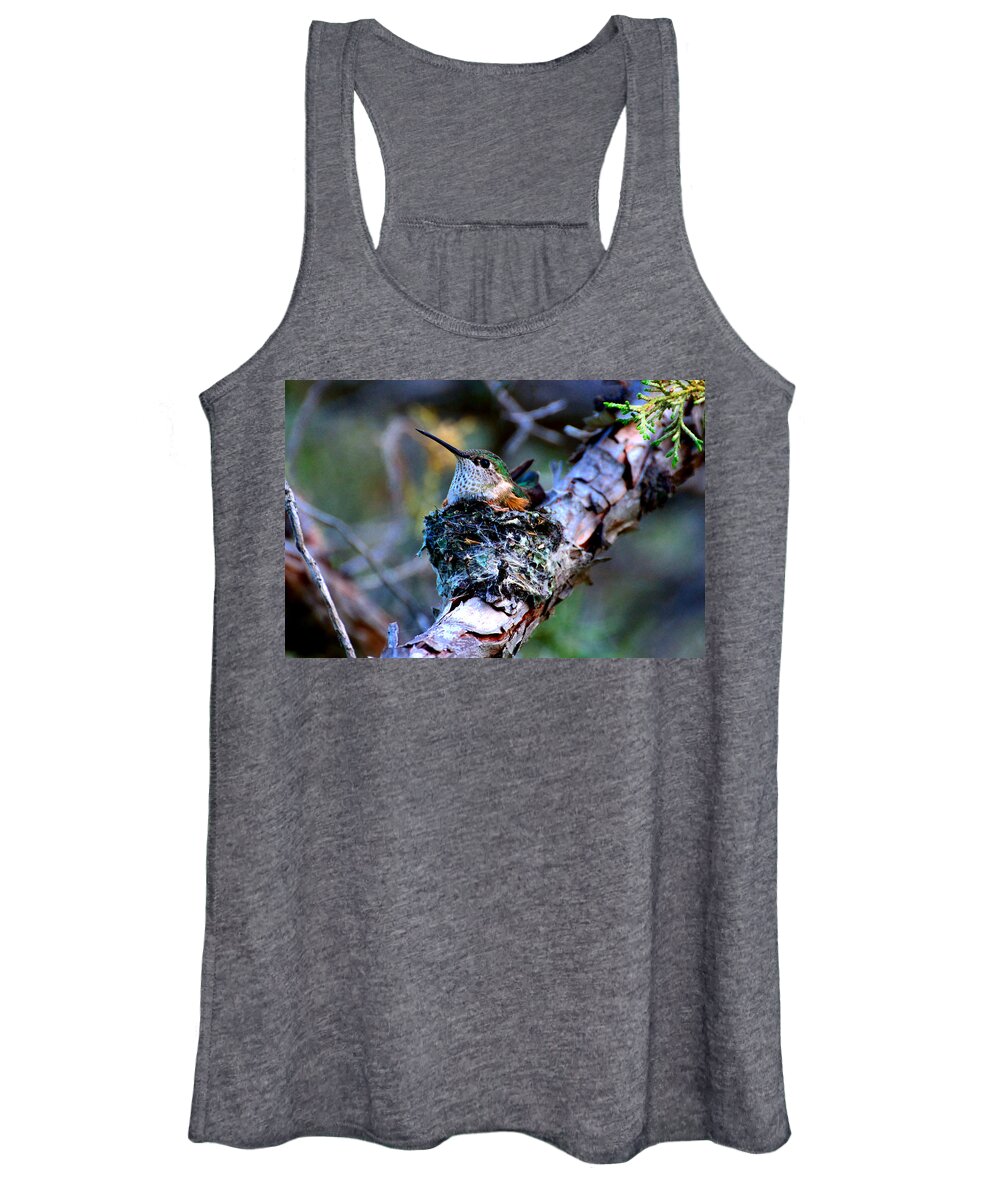 Nesting Women's Tank Top featuring the photograph Nesting Hummingbird by Tranquil Light Photography