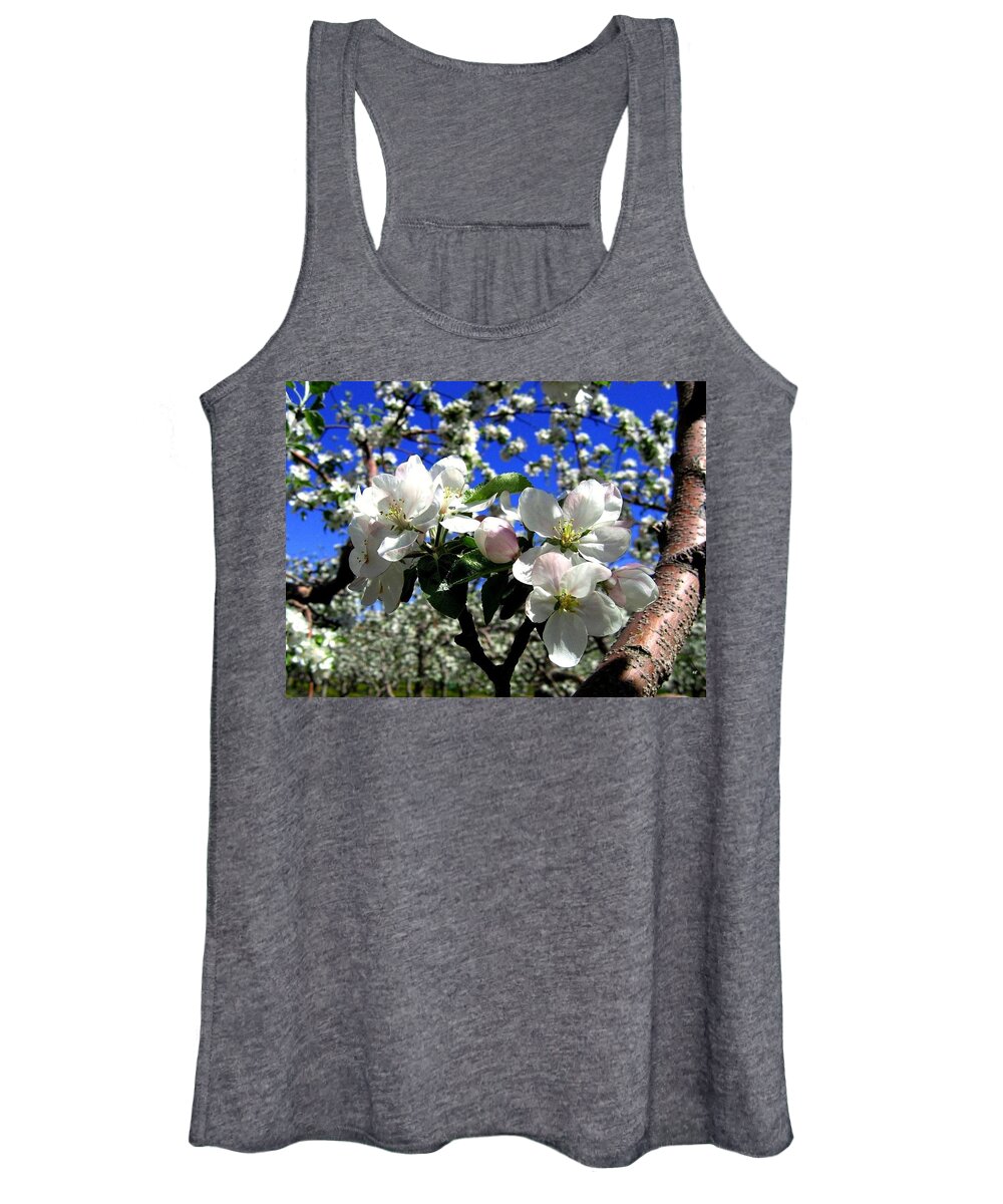 Apple Blossoms Women's Tank Top featuring the photograph Orchard Ovation by Will Borden