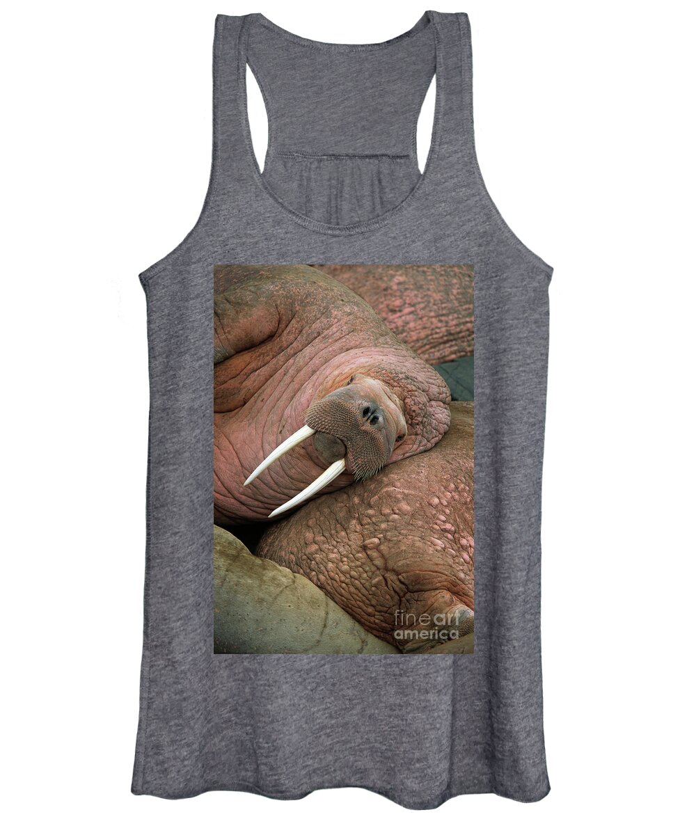 00344073 Women's Tank Top featuring the photograph Bull Walrus on Round Island by Yva Momatiuk and John Eastcott