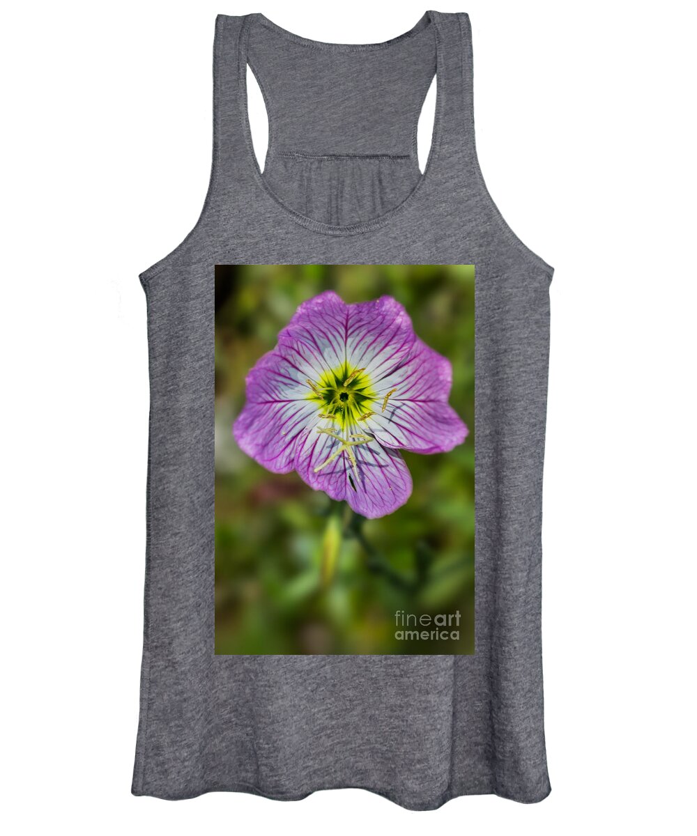 Oenothera-speciosa Women's Tank Top featuring the photograph Pink Evening Primrose by Bernd Laeschke