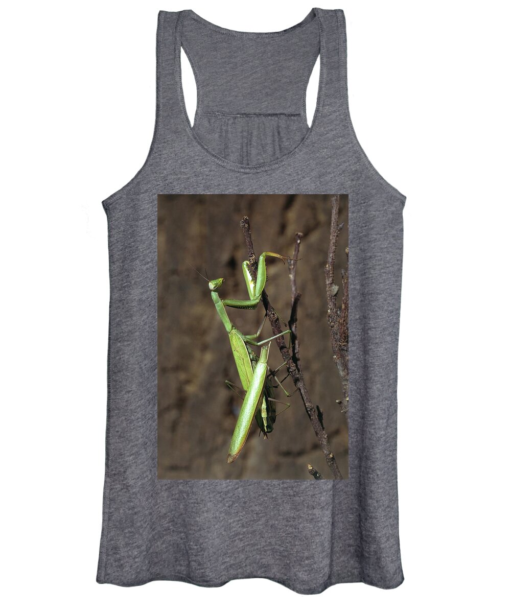 Animal Women's Tank Top featuring the photograph Praying Mantises Mating by Perennou Nuridsany