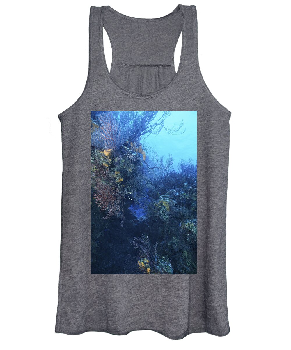 Angle Women's Tank Top featuring the photograph Quiet Beauty by Sandra Edwards
