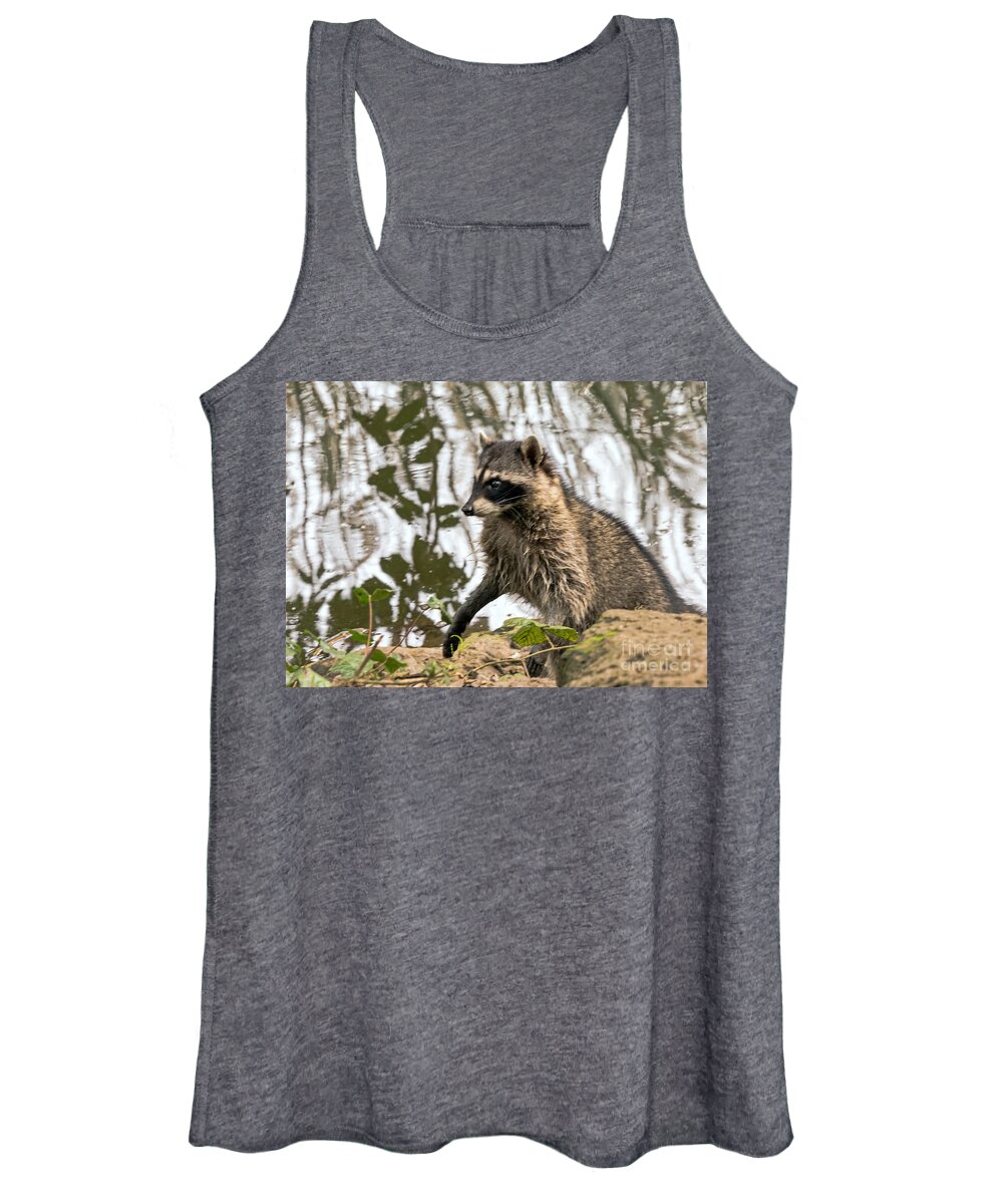 Animal Women's Tank Top featuring the photograph Raccoon Alert by Kate Brown
