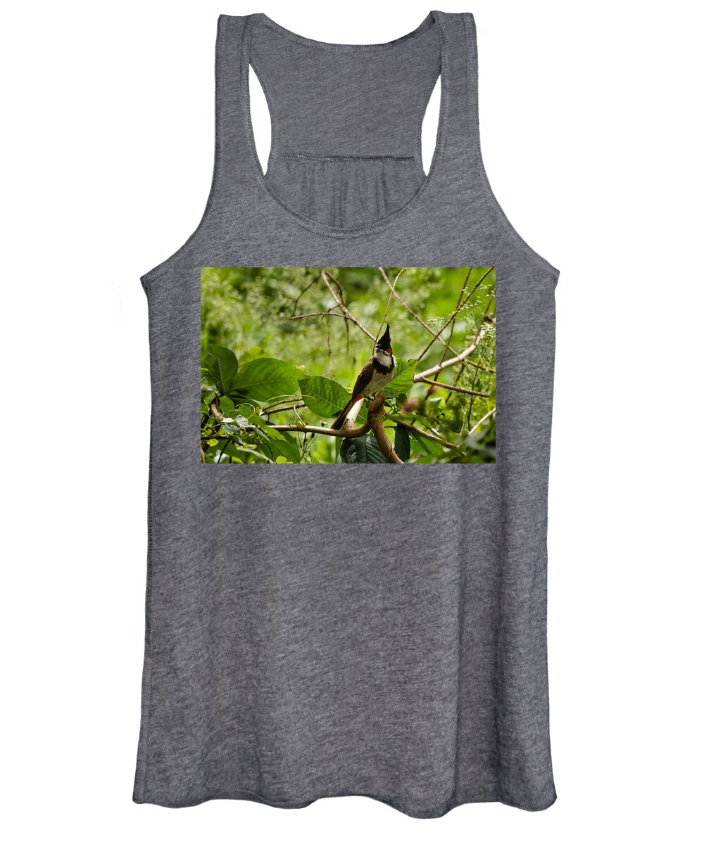 Pycnonotus Jocosus Women's Tank Top featuring the photograph Red-whiskered Bulbul by SAURAVphoto Online Store