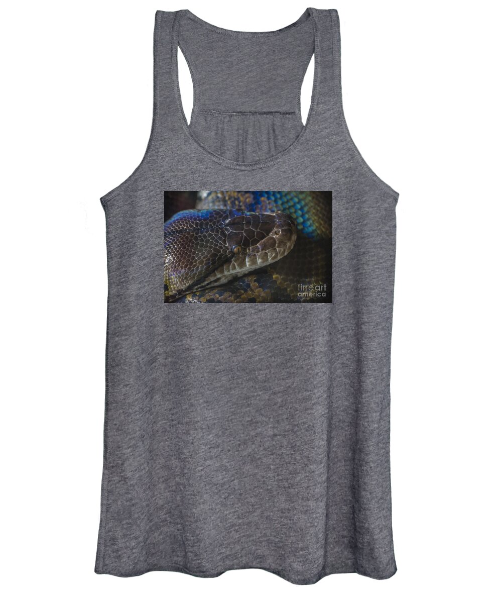 Clare Bambers Women's Tank Top featuring the photograph Reticulated Python with Rainbow Scales by Clare Bambers