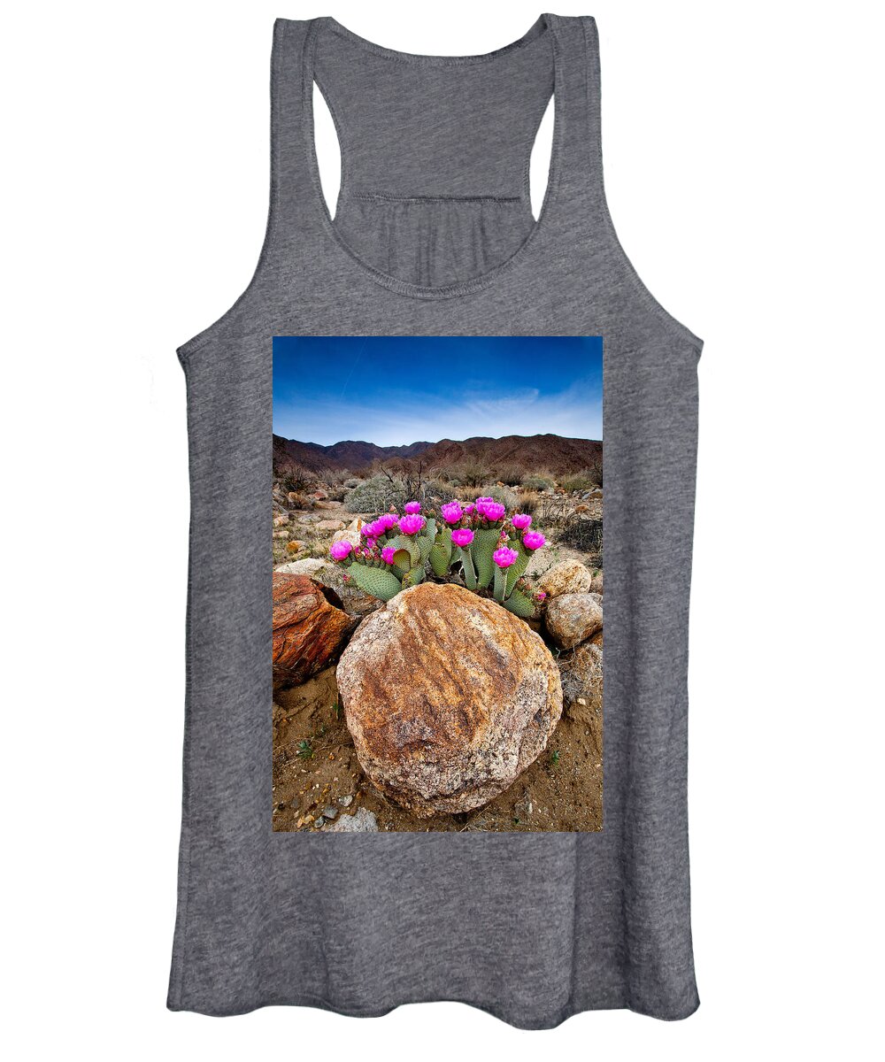 Anza-borrego Desert Women's Tank Top featuring the photograph Rock and Beavertail by Peter Tellone