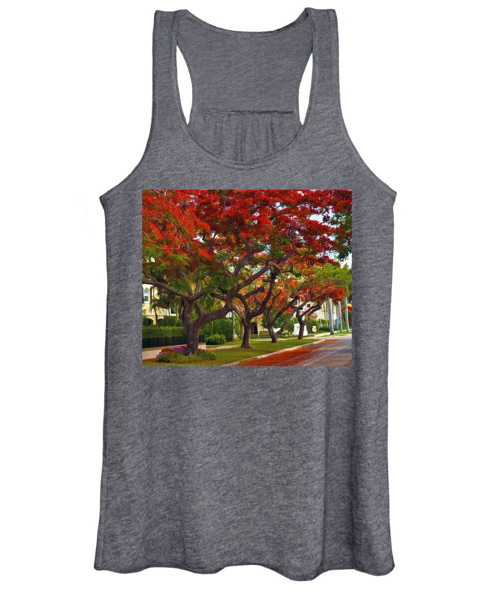 Royal Poinciana Tree Women's Tank Top featuring the photograph Royal Poinciana Trees Blooming in South Florida by Ginger Wakem
