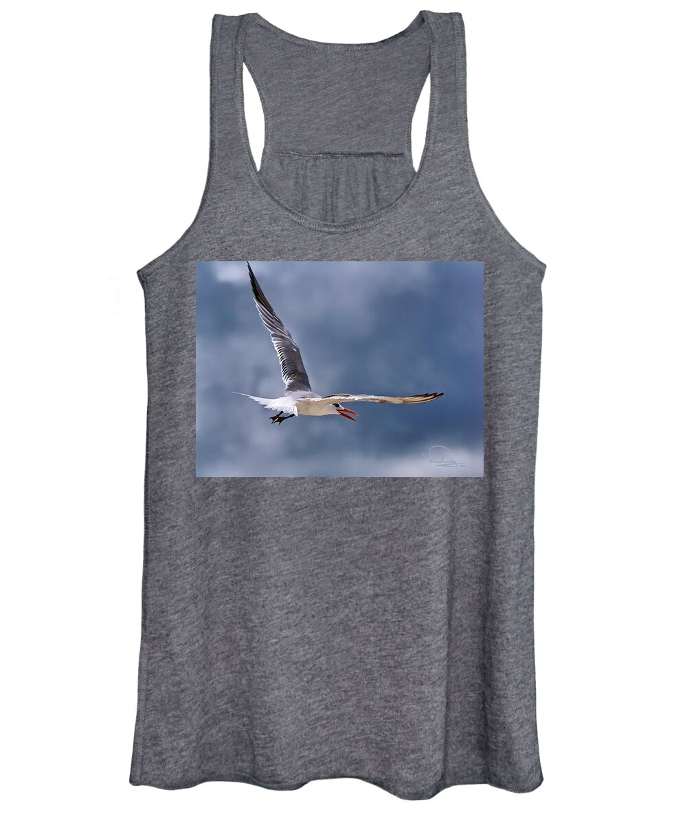 Tern Women's Tank Top featuring the photograph Royal Tern 1 by Ludwig Keck
