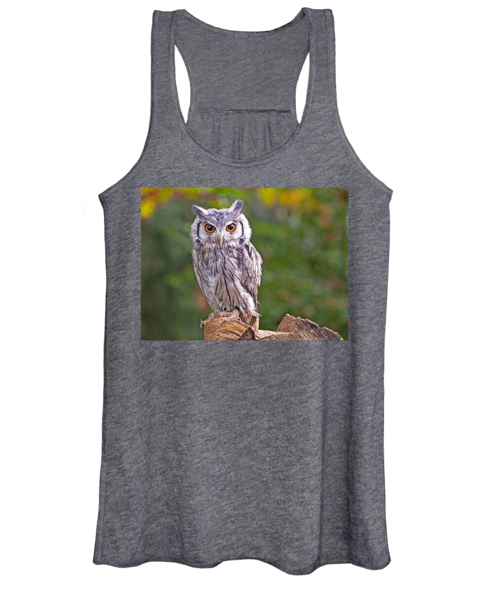 Scops Women's Tank Top featuring the photograph Scops Owl by Chris Thaxter