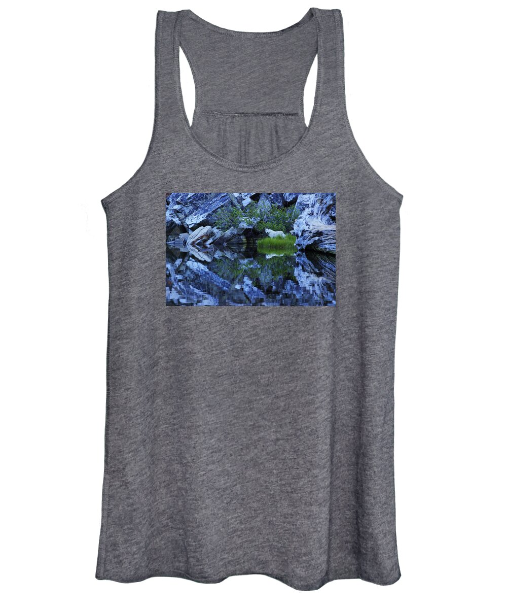     Lake Tahoe Women's Tank Top featuring the photograph Sekani Wild by Sean Sarsfield