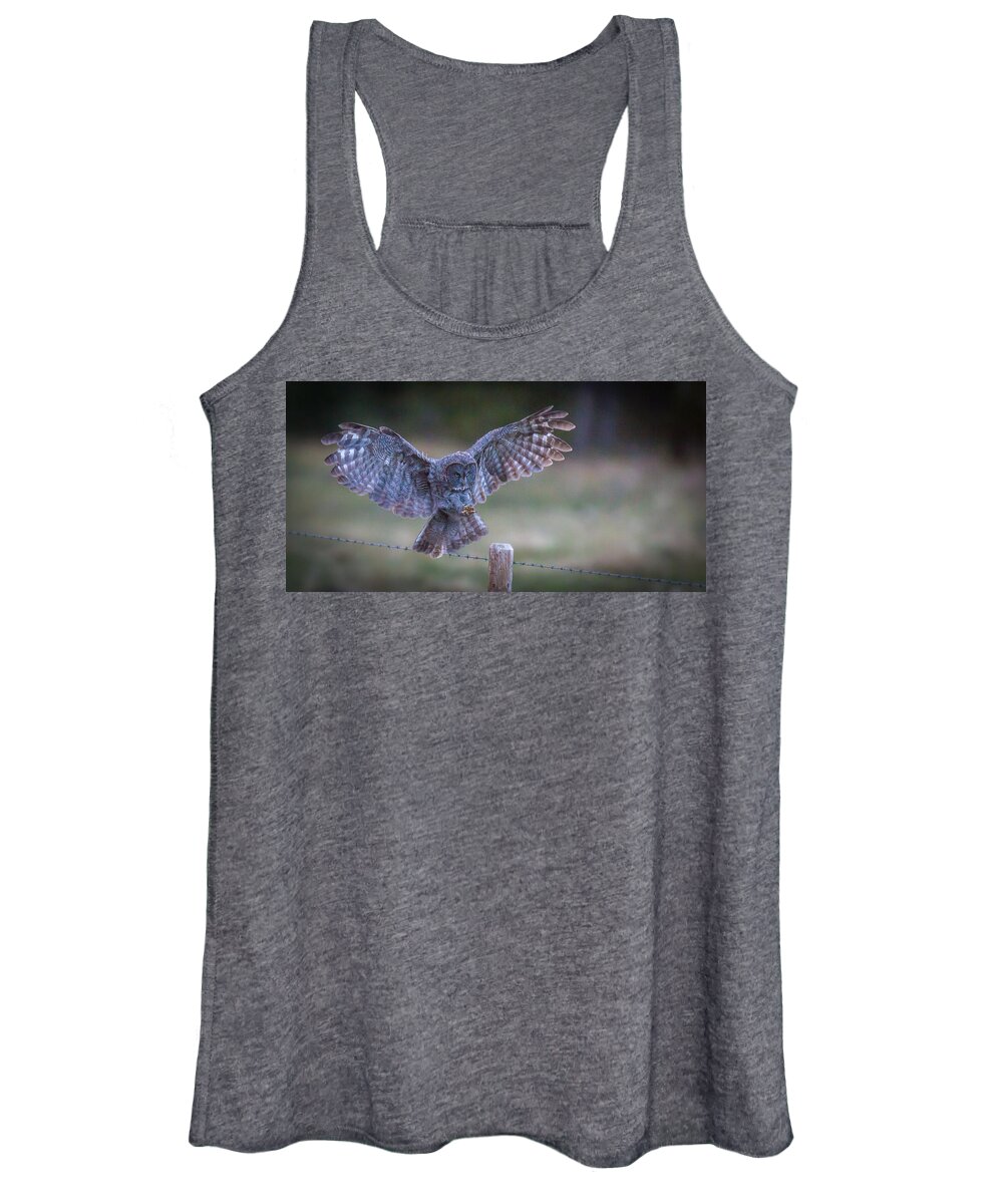 Owls Women's Tank Top featuring the photograph Silent Landings by Kevin Dietrich