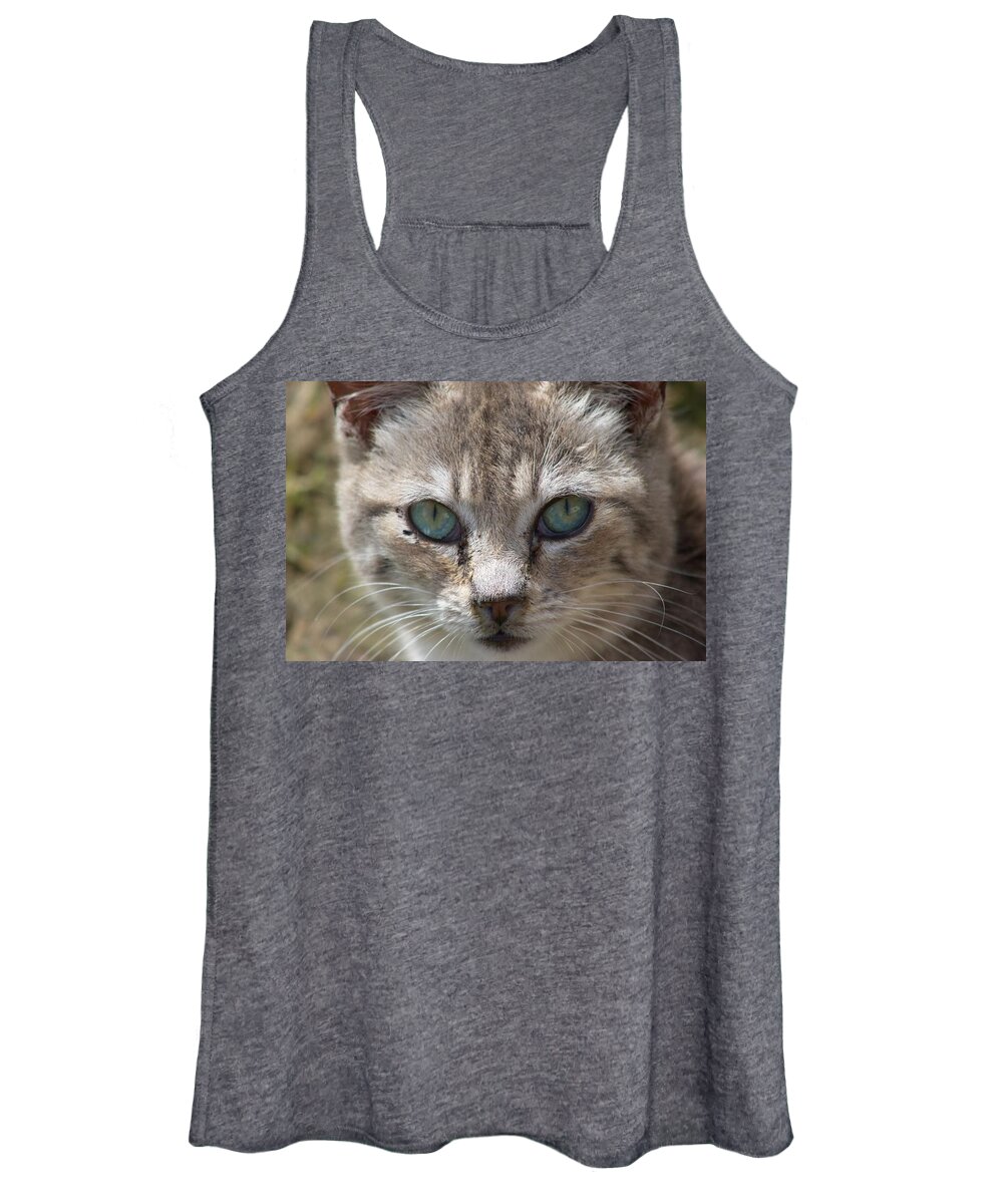 Cat Women's Tank Top featuring the photograph Silver Tabby But What Color Eyes by Chriss Pagani