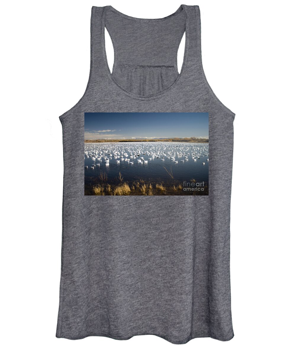 Snow Geese Women's Tank Top featuring the photograph Snow Geese - Bosque del Apache by John Greco