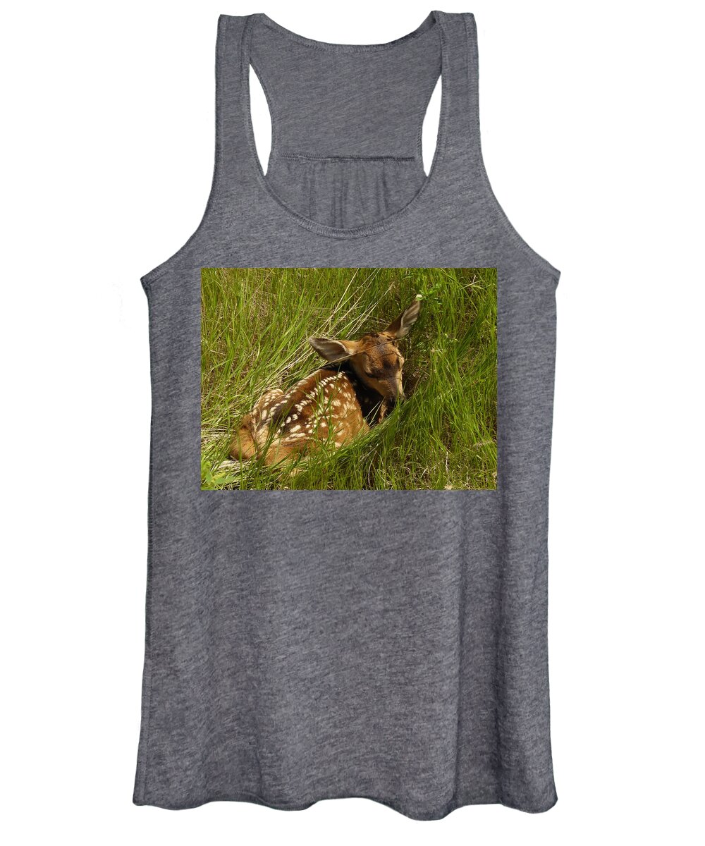 Fawn Women's Tank Top featuring the photograph Something I Stumbled On by Jeff Swan
