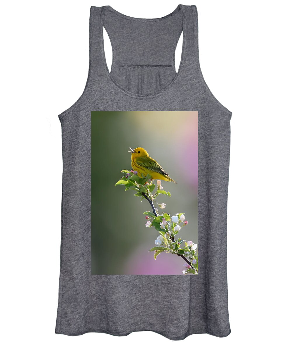 Yellow Warbler Women's Tank Top featuring the photograph Song of Spring by Rob Blair